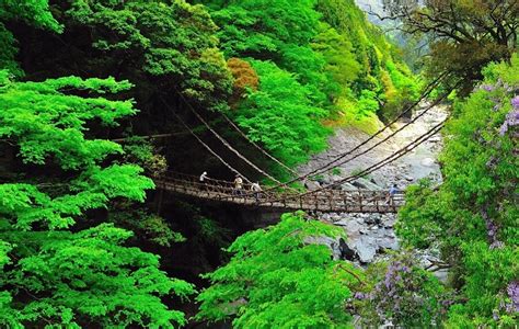 祖屋|日本三大秘境の「祖谷（いや）」で大自然と絶景の温。